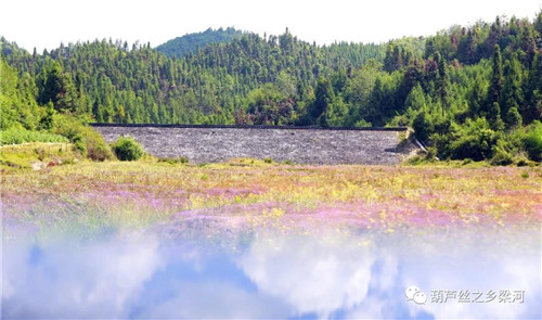 云南旅游景点 - 五月，在云南梁河邂逅粉色油竹坝