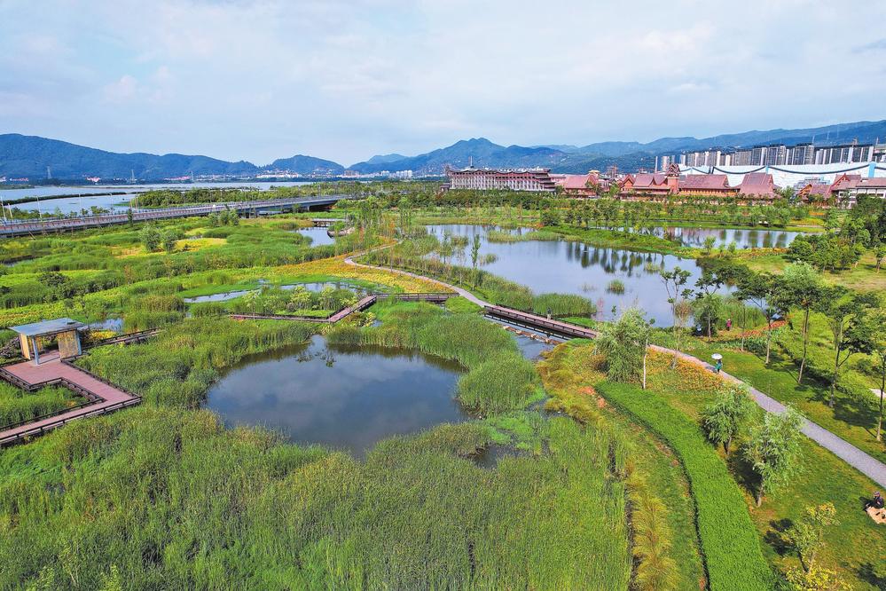 云南旅游价格 - 滇池草海片区运粮河湖滨生态湿地有望年内开放