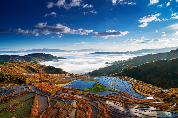 云南旅行社 - 元江那诺：“绣”在山梁上的云海梯田